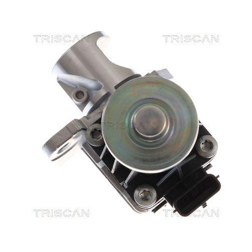 TRISCAN 8813 10060 AGR-Ventil f&uuml;r MERCEDES-BENZ NISSAN RENAULT DACIA INFINITI