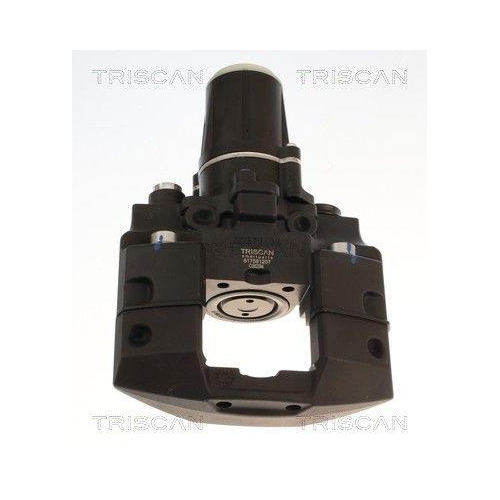 TRISCAN 8175 81207 Bremssattel f&uuml;r TESLA, Hinterachse links