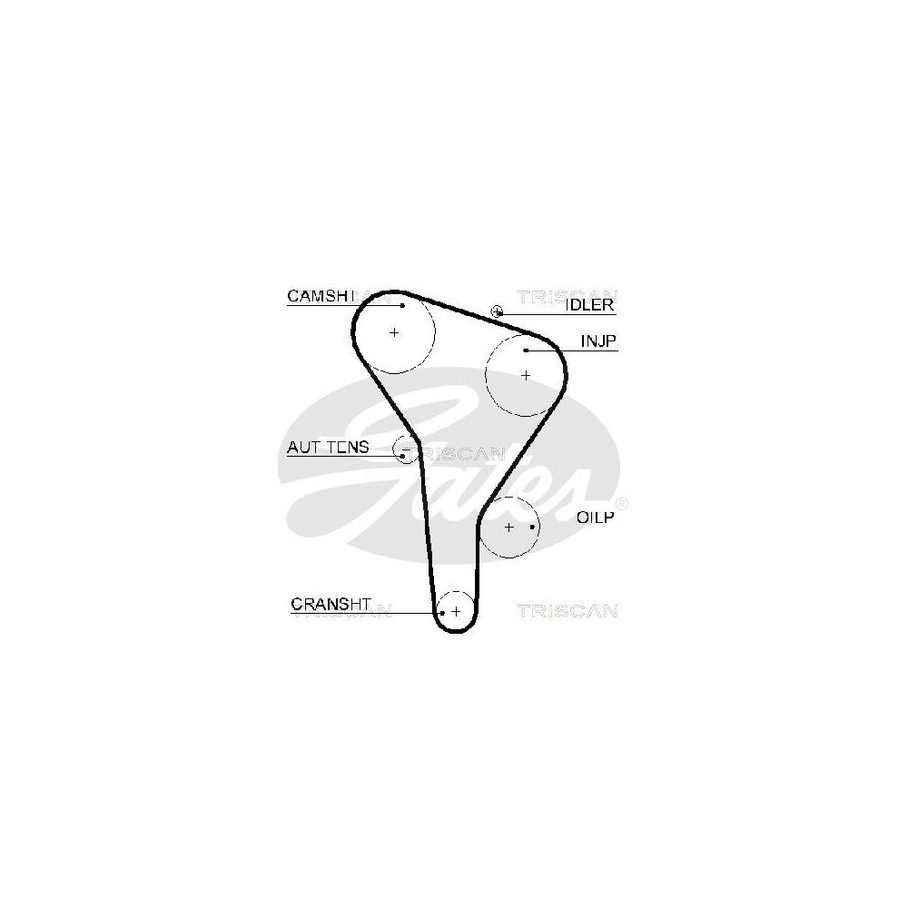 Zahnriemen TRISCAN 8645 5622xs f&uuml;r AUDI FORD SEAT VW