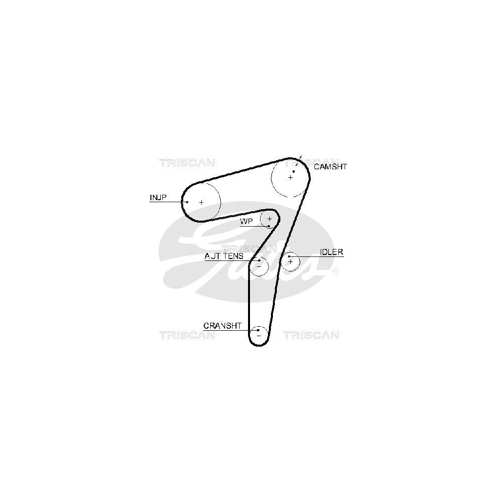 Zahnriemen TRISCAN 8645 5623xs f&uuml;r ALFA ROMEO FIAT LANCIA OPEL SAAB SUZUKI JEEP