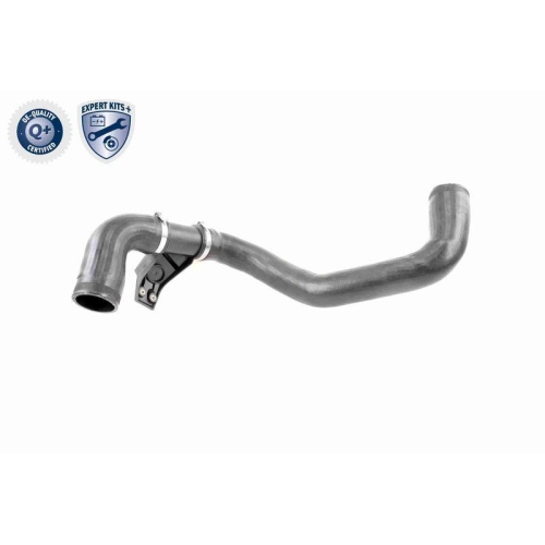 Ladeluftschlauch VAICO V30-1771 EXPERT KITS + f&uuml;r MERCEDES-BENZ SEAT