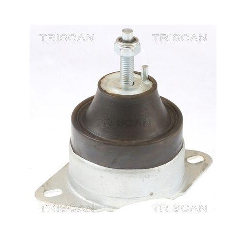 Lagerung, Motor TRISCAN 8505 10119 f&uuml;r CITRO&Euml;N FIAT LANCIA PEUGEOT, rechts