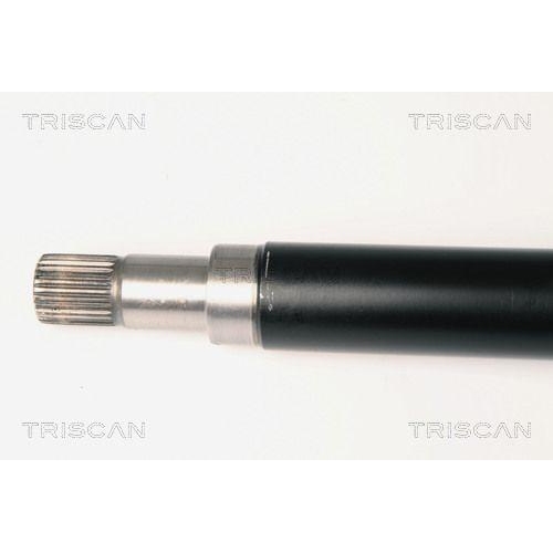 Antriebswelle TRISCAN 8540 16579 f&uuml;r