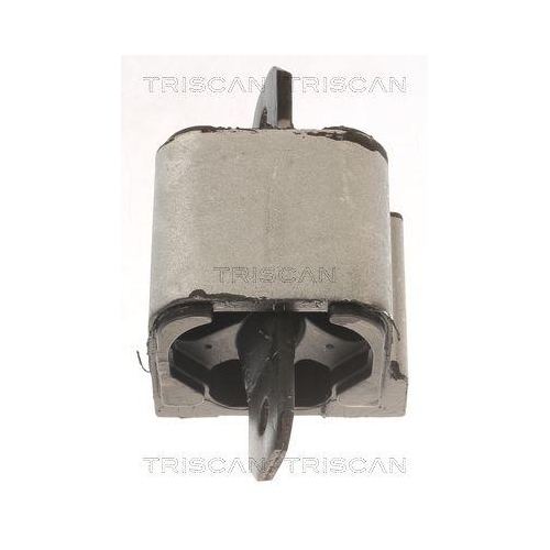 Lagerung, Motor TRISCAN 8505 10120 f&uuml;r MERCEDES-BENZ, hinten
