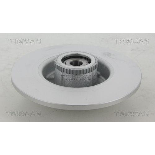 TRISCAN 8120 25146C 2 St&uuml;ck Bremsscheiben COATED f&uuml;r RENAULT, Hinterachse