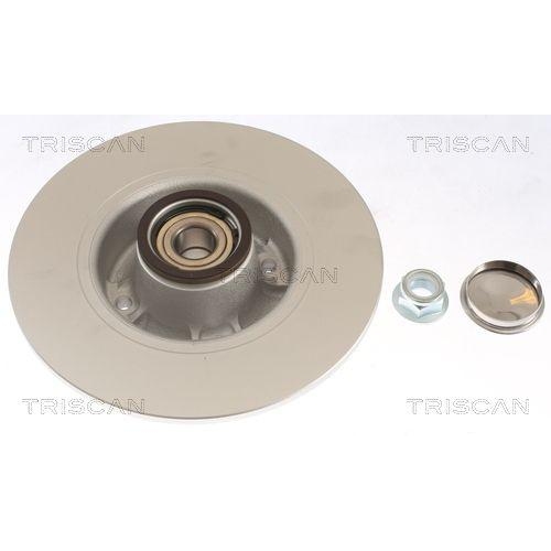 TRISCAN 8120 25151C 2 St&uuml;ck Bremsscheiben COATED f&uuml;r RENAULT, Hinterachse