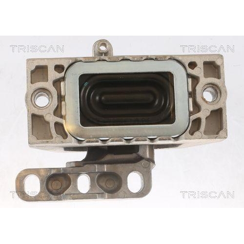 Lagerung, Motor TRISCAN 8505 29125 f&uuml;r AUDI SEAT SKODA VW, rechts