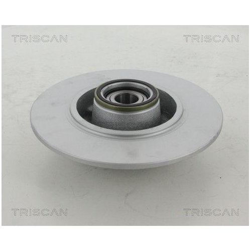TRISCAN 8120 25172C 2 St&uuml;ck Bremsscheiben COATED f&uuml;r RENAULT, Hinterachse