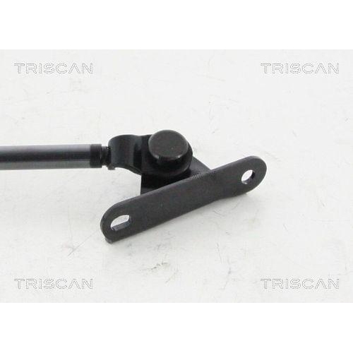 Gasfeder, Koffer-/Laderaum TRISCAN 8710 13249 f&uuml;r TOYOTA, hinten rechts, rechts