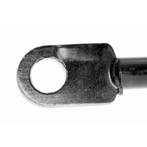 Gasfeder, Koffer-/Laderaum VAICO V10-1967 Original VAICO Qualität für SEAT SKODA