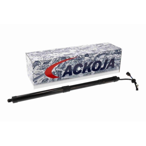 ACKOJA A52-55-0010 Elektromotor, Heckklappe Original ACKOJA Qualit&auml;t f&uuml;r HYUNDAI