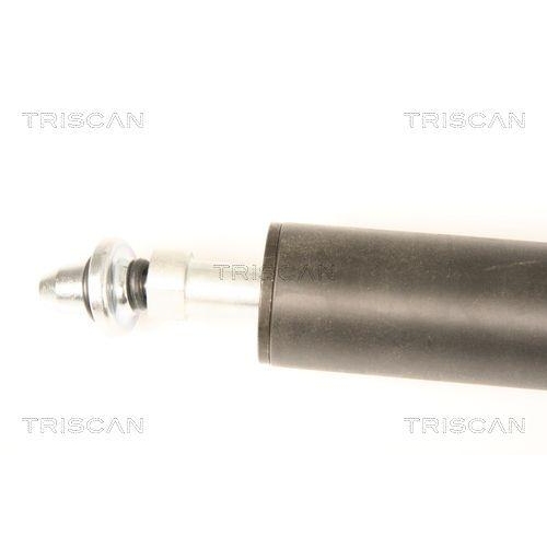 Gasfeder, Koffer-/Laderaum TRISCAN 8710 38228 für CITROËN, hinten links