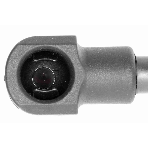 Gasfeder, Motorhaube VAICO V10-1974 Original VAICO Qualit&auml;t f&uuml;r SEAT SKODA VW