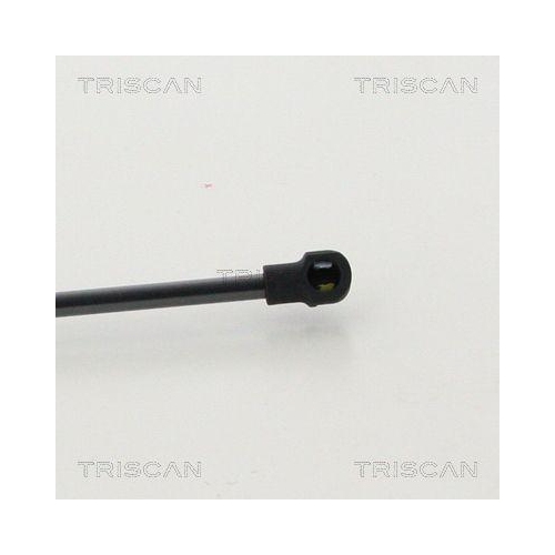 Gasfeder, Koffer-/Laderaum TRISCAN 8710 292037 f&uuml;r AUDI, hinten links