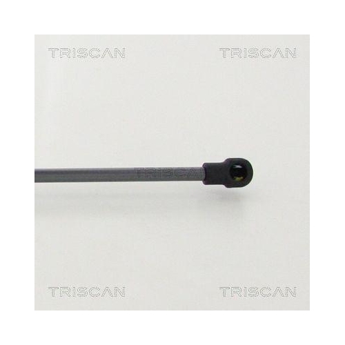 Gasfeder, Koffer-/Laderaum TRISCAN 8710 292038 f&uuml;r AUDI, hinten links