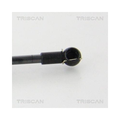 Gasfeder, Koffer-/Laderaum TRISCAN 8710 292039 f&uuml;r AUDI, hinten links