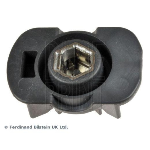 Z&uuml;ndverteilerl&auml;ufer BLUE PRINT ADN114330 f&uuml;r NISSAN