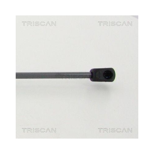 Gasfeder, Koffer-/Laderaum TRISCAN 8710 292041 f&uuml;r SEAT VW, hinten links