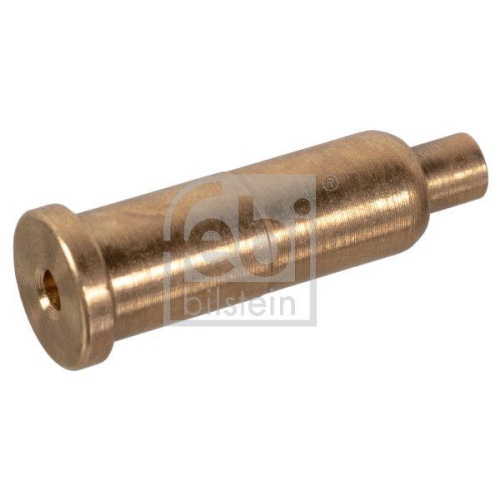 Öldüse, Steuerkette FEBI BILSTEIN 178954 für BMW