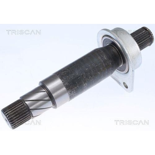 Antriebswelle TRISCAN 8540 81507 f&uuml;r TESLA