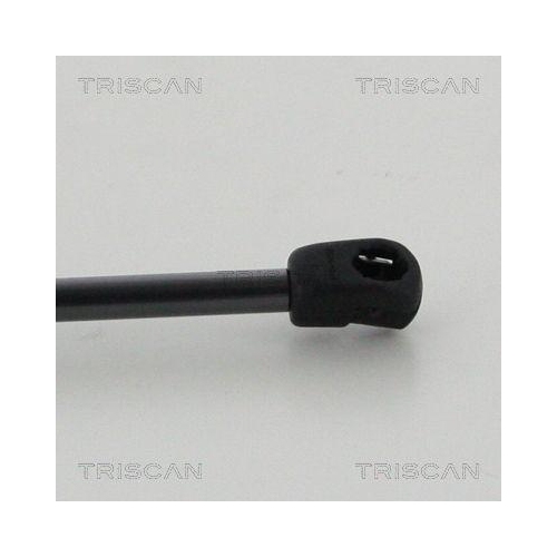 Gasfeder, Koffer-/Laderaum TRISCAN 8710 292044 f&uuml;r VW, hinten links