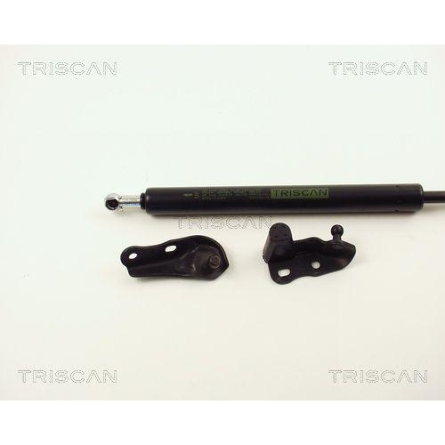 Gasfeder, Koffer-/Laderaum TRISCAN 8710 13264 f&uuml;r TOYOTA, hinten rechts, rechts
