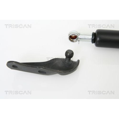 Gasfeder, Koffer-/Laderaum TRISCAN 8710 13265 f&uuml;r TOYOTA, hinten links, links