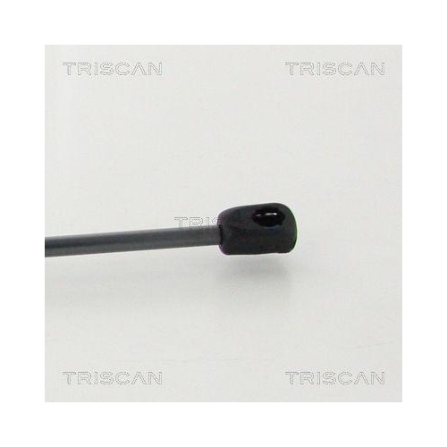 Gasfeder, Koffer-/Laderaum TRISCAN 8710 292052 für