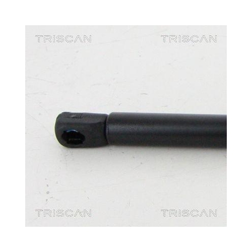 Gasfeder, Koffer-/Laderaum TRISCAN 8710 292054 für SKODA, hinten links