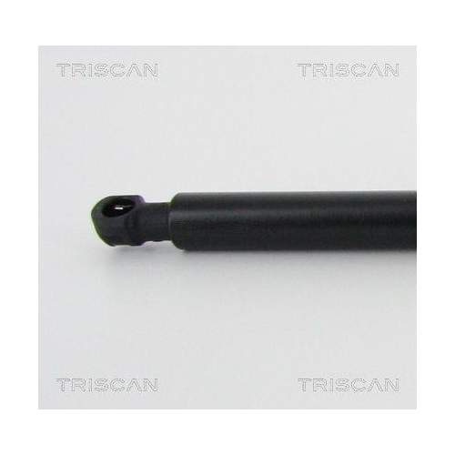 Gasfeder, Heckscheibe TRISCAN 8710 38244 für CITROËN PEUGEOT, links, rechts