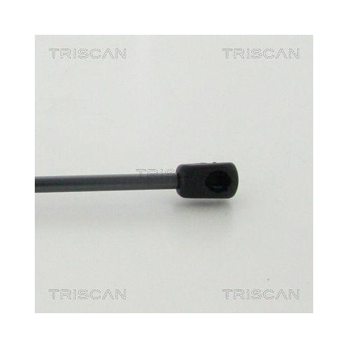 Gasfeder, Koffer-/Laderaum TRISCAN 8710 38245 f&uuml;r CITRO&Euml;N, hinten links