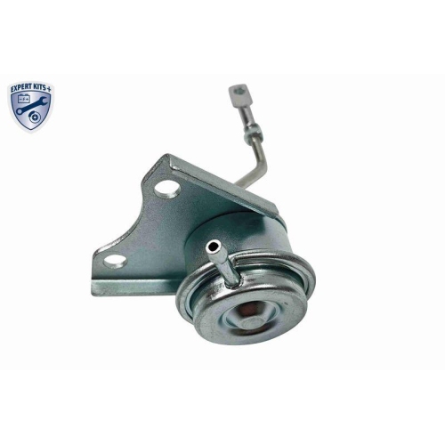 Steuerdose, Lader VEMO V22-40-0008 EXPERT KITS + f&uuml;r CITRO&Euml;N FIAT FORD PEUGEOT