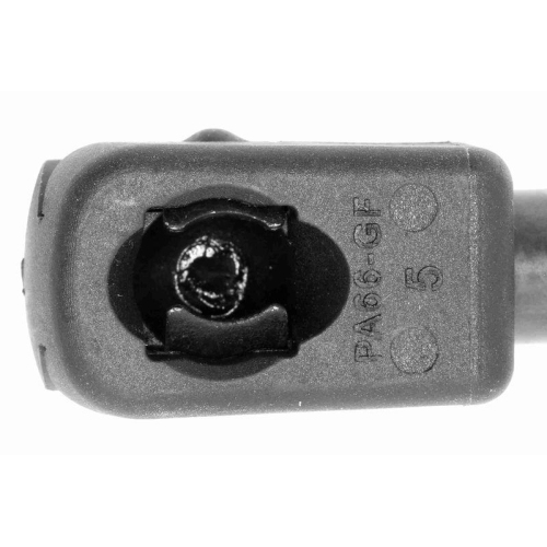 Gasfeder, Koffer-/Laderaum VAICO V24-0501 Original VAICO Qualit&auml;t f&uuml;r FIAT