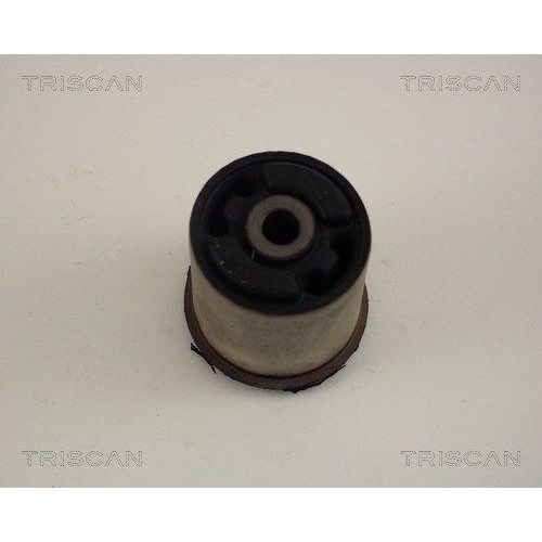 Lagerung, Achsk&ouml;rper TRISCAN 8500 65829 f&uuml;r SAAB, Hinterachse, au&szlig;en