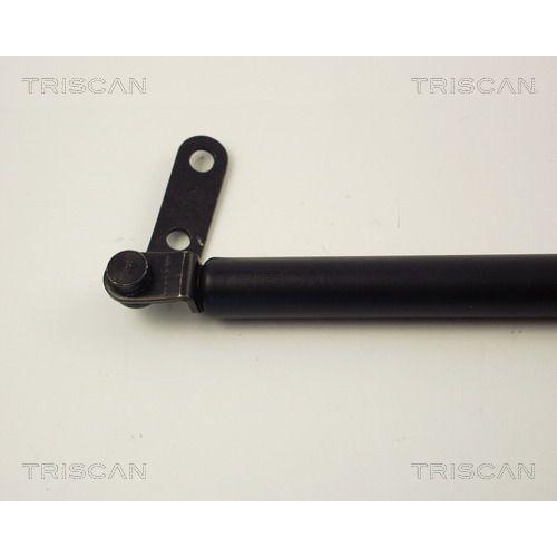 Gasfeder, Koffer-/Laderaum TRISCAN 8710 14219 für NISSAN, hinten rechts, rechts