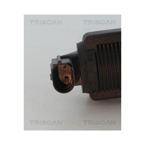 AGR-Ventil TRISCAN 8813 24015 f&uuml;r