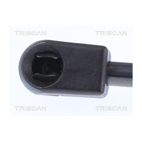 Gasfeder, Koffer-/Laderaum TRISCAN 8710 14221 f&uuml;r NISSAN