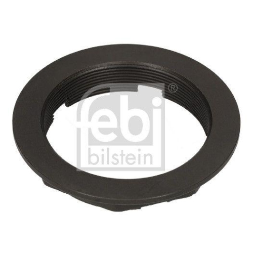 Mutter, Achszapfen FEBI BILSTEIN 196867 f&uuml;r SCANIA