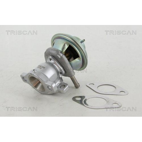 AGR-Ventil TRISCAN 8813 15029 f&uuml;r FIAT IVECO