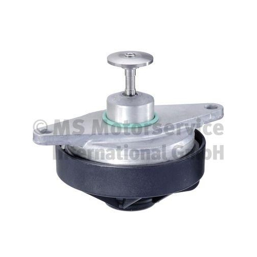 AGR-Ventil PIERBURG 7.24809.28.0 f&uuml;r