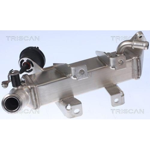 K&uuml;hler, Abgasr&uuml;ckf&uuml;hrung TRISCAN 8813 25104 f&uuml;r OPEL RENAULT VAUXHALL