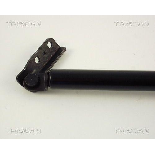Gasfeder, Koffer-/Laderaum TRISCAN 8710 42217 f&uuml;r MITSUBISHI, rechts