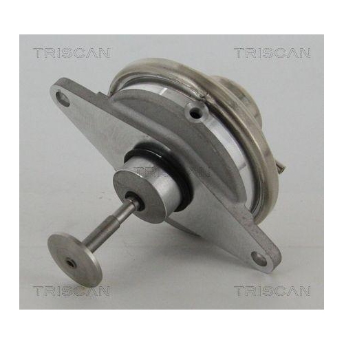 AGR-Ventil TRISCAN 8813 24054 f&uuml;r OPEL SAAB VAUXHALL