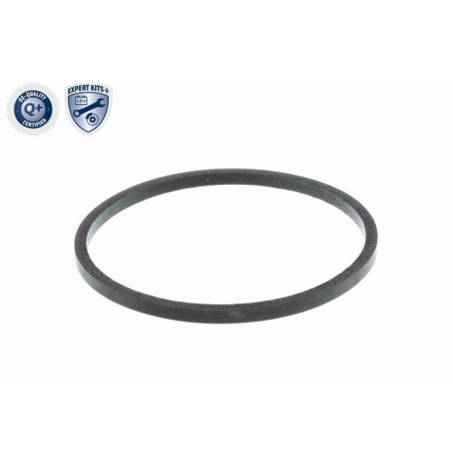 Thermostatgeh&auml;use VEMO V24-99-0016 EXPERT KITS + f&uuml;r FIAT