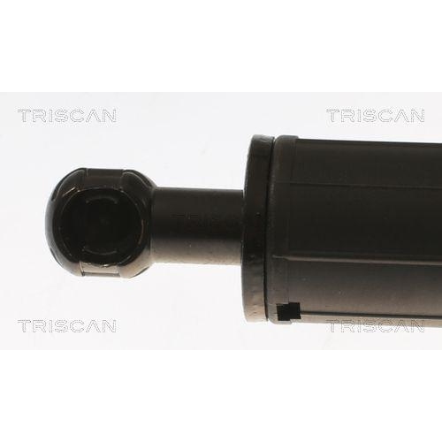 Gasfeder, Koffer-/Laderaum TRISCAN 8710 11353 für BMW, links
