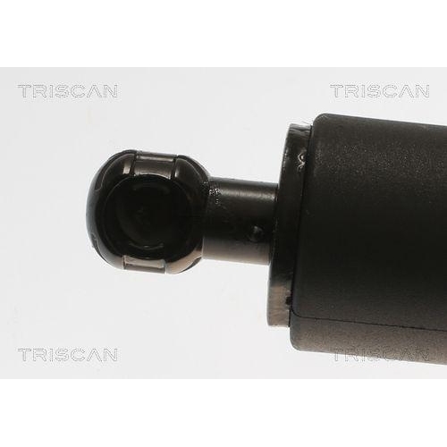 Gasfeder, Koffer-/Laderaum TRISCAN 8710 11355 für BMW, hinten rechts