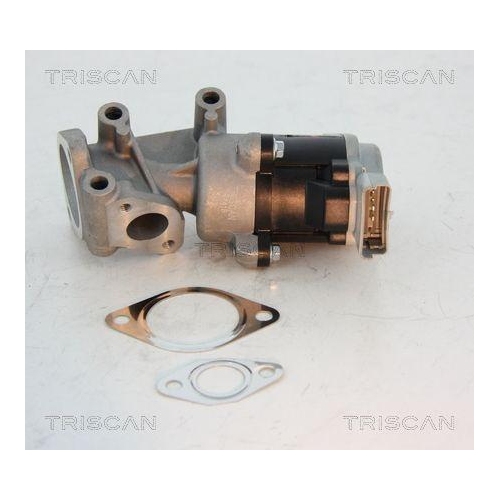AGR-Ventil TRISCAN 8813 10008 f&uuml;r CITRO&Euml;N JAGUAR PEUGEOT LAND ROVER, hinten