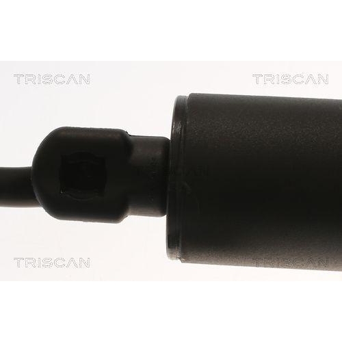 Gasfeder, Koffer-/Laderaum TRISCAN 8710 11361 für BMW, hinten links