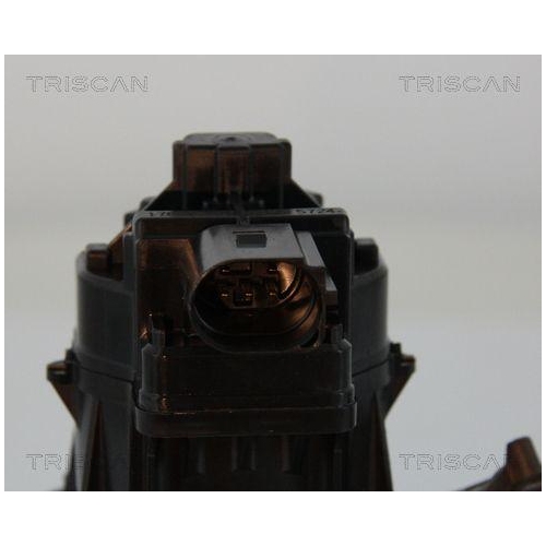 AGR-Ventil TRISCAN 8813 15207 f&uuml;r FIAT IVECO