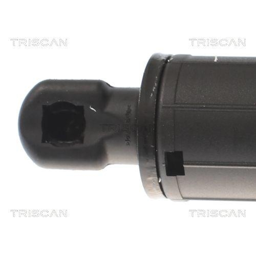 Gasfeder, Koffer-/Laderaum TRISCAN 8710 16305 für FORD